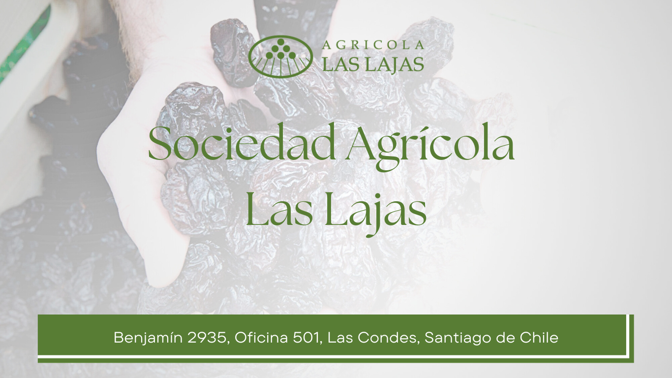 Las Lajas